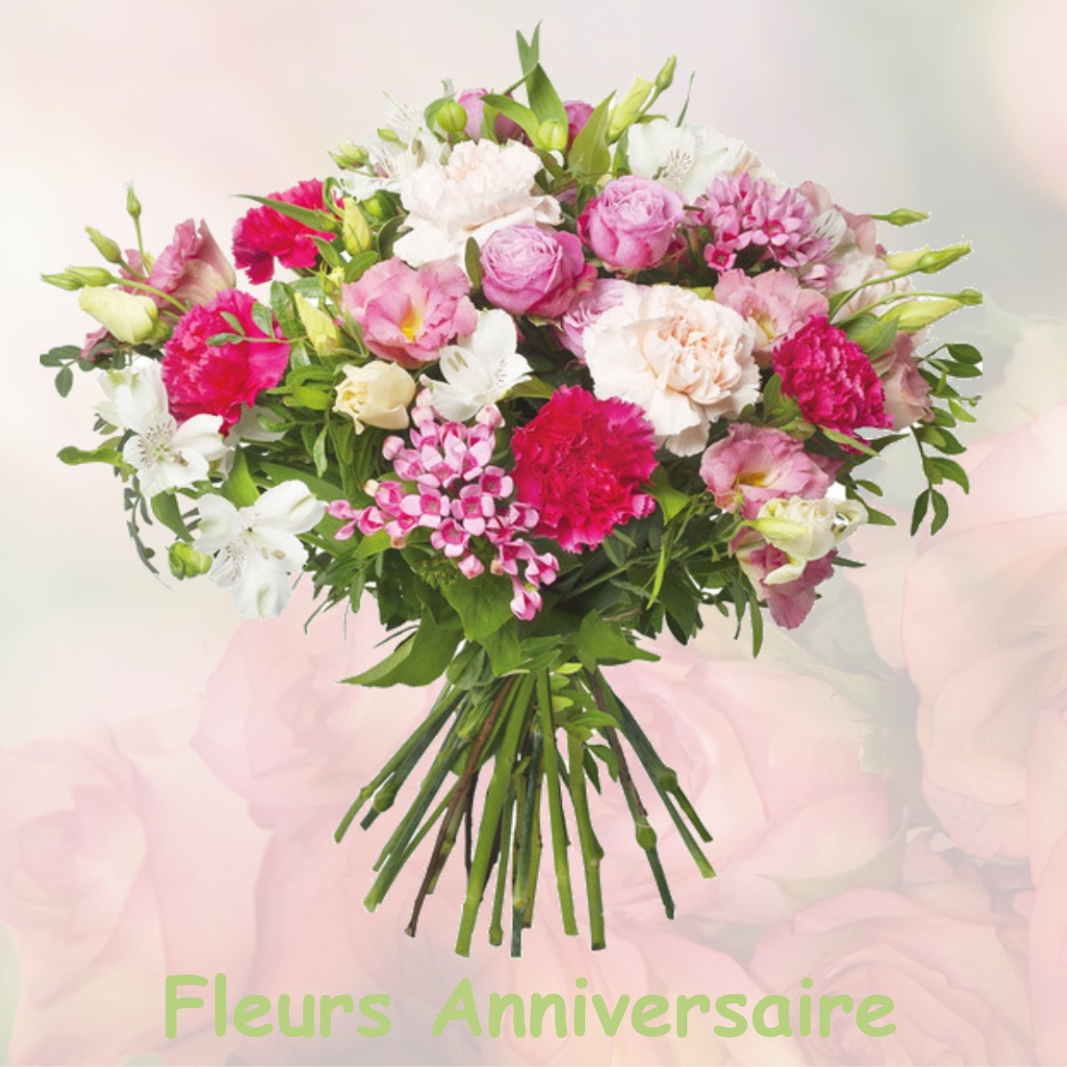 fleurs anniversaire SERRES-GASTON