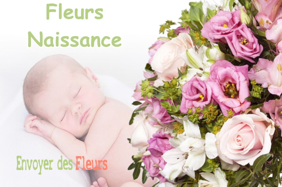 lIVRAISON FLEURS NAISSANCE à SERRES-GASTON